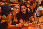 Mühlviertler Wiesn 2015 12905339