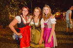 Mühlviertler Wiesn 2015 12905365