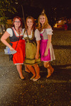 Mühlviertler Wiesn 2015 12905366