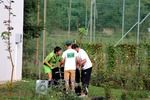 3. Steiermark Genuss Apfel Lauf 12964839
