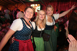 Wiener Wiesn 12978567