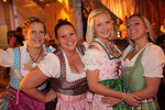 Wiener Wiesn 12978576