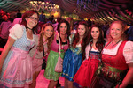 Wiener Wiesn 12978607