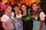 Wiener Wiesn 12978732