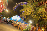 Wiener Wiesn 12985375