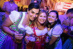 Wiener Wiesn 12985479