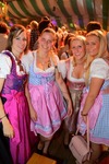 Wiener Wiesn 12985986