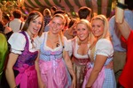 Wiener Wiesn 12986046