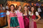 Wiener Wiesn 12986048