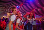 Wiener Wiesn 12986076