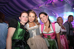 Wiener Wiesn 12987383