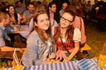 Oktoberfest 2015 12990579