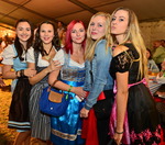 Oktoberfest 2015 12990615