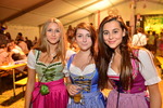 Oktoberfest 2015 12990673