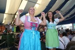 Wiener Wiesn 12990967