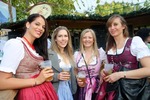 Wiener Wiesn 12990995