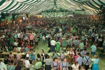 Wiener Wiesn 12991047