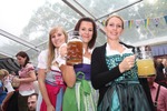 Wiener Wiesn 13003426