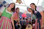 Wiener Wiesn 13003439