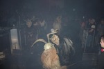 ::: KRAMPUS SPEKTAKEL OBERÖSTERREICH ::: 13024117