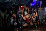 2. Grazer Halloween Ball 13044119