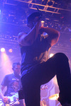 Zebrahead (US) 13068546