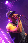 Zebrahead (US) 13068559