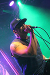 Zebrahead (US) 13068560