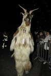 Salzkammergut-Krampuslauf 13112371