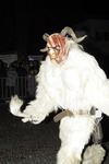 Salzkammergut-Krampuslauf 13112418