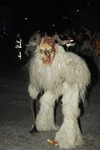 Salzkammergut-Krampuslauf 13112420