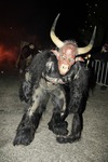 Salzkammergut-Krampuslauf 13112480