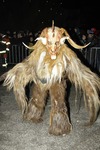 Salzkammergut-Krampuslauf 13112536