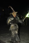 Salzkammergut-Krampuslauf 13113312