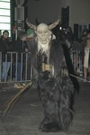 Salzkammergut-Krampuslauf 13113327