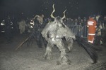 Salzkammergut-Krampuslauf 13113328