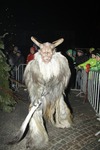 Salzkammergut-Krampuslauf 13113344