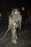 Salzkammergut-Krampuslauf 13113534