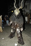Salzkammergut-Krampuslauf 13113565