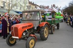 ORF Gildenfasching 13219052