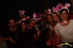 Bunny Party 13298781