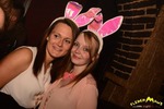 Bunny Party 13298815