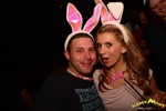 Bunny Party 13298816