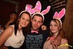 Bunny Party 13298817