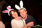 Bunny Party 13298825