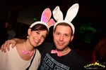Bunny Party 13298826