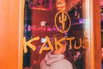 Kaktus Friends 13300536