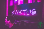 Happy Kaktus 13311287