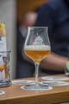 Beer Craft 2016 - International Craft Beer Meeting 13311871