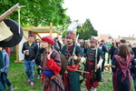 Mittelalterfest 2016 13374299